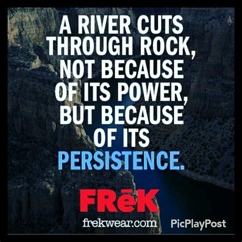 Persistence Thought Provoking Quotes Inspirational Quotes Quotes To