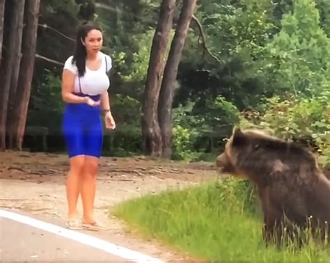 衝撃動画野生クマの真横で記念撮影しようとした女性の末路 超接近して熊激怒 襲われる バズプラスニュース