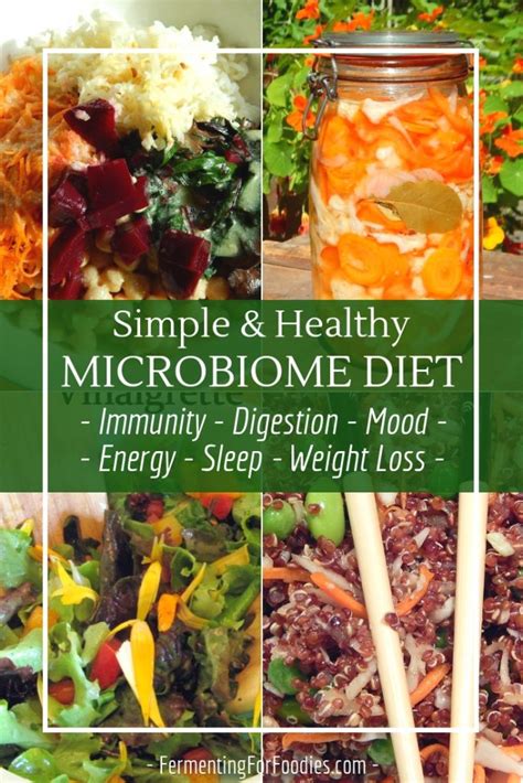 Microbiome Diet Fermenting For Foodies