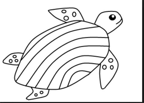 Water Animals Drawing At Explore Collection Of