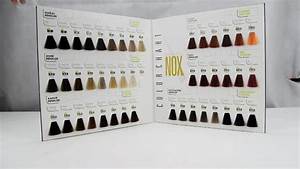 International Salon Hair Color Chart For Professional Permanent Hair