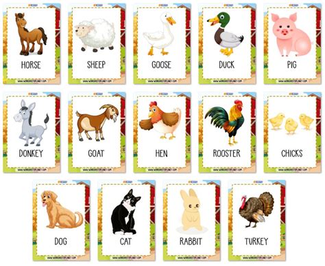 Farm Animals Vocabulary Flashcards Esl Resources