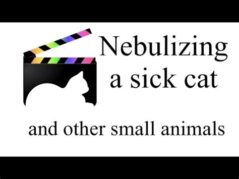 The dosage should be reduced if renal function is markedly impaired. Nebulizing a Cat with an Upper Respiratory Infection - YouTube
