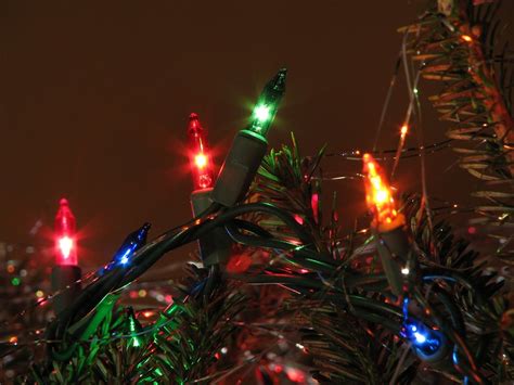 Christmas Tree Free Stock Photo Close Up Of Christmas Lights On A
