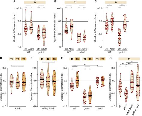 Sex Specific Pdfr 1 Dependent Modulation Of Pheromone Avoidance By Food Abundance Enables
