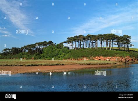 Uk Devon Budleigh Salterton Mouth Of River Otter Stock Photo Alamy