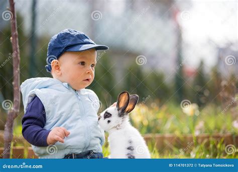 Cute Little Baby Boy Child Playing Little Bunny In Park Stock Photo