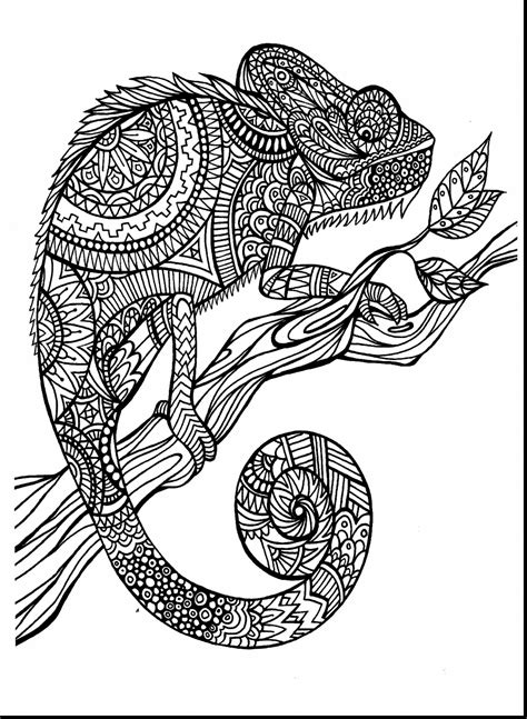 Difficult Coloring Pages Of Animals At Getdrawings Free Download