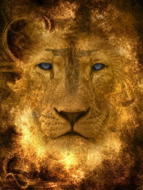 Lion Of Judah Lion Of Judah Tribe Of Judah Prophetic Art