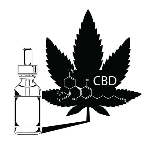 Cbd Oil Cannabidiol 360