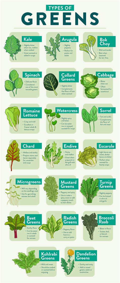 20 Types Of Greens To Spruce Up Your Meals Webstaurantstore Leaf