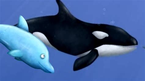 Killer Whale Vs Dolphin Tasty Blue Ep4 Youtube