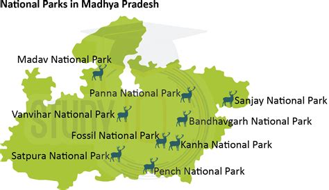 National Parks In Madhya Pradesh List 2023 Name Map Features