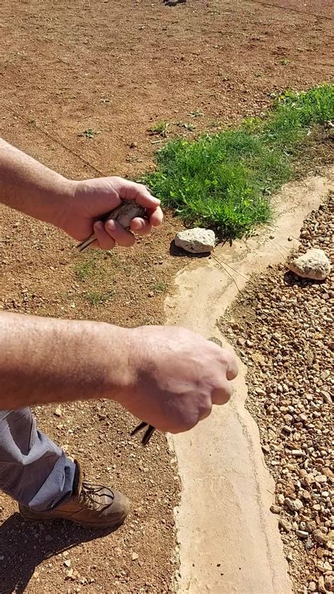 Ħabib Tagħna Membru Bagħtilna Dan Il Filmat Fejn Qed Jiddokumenta L