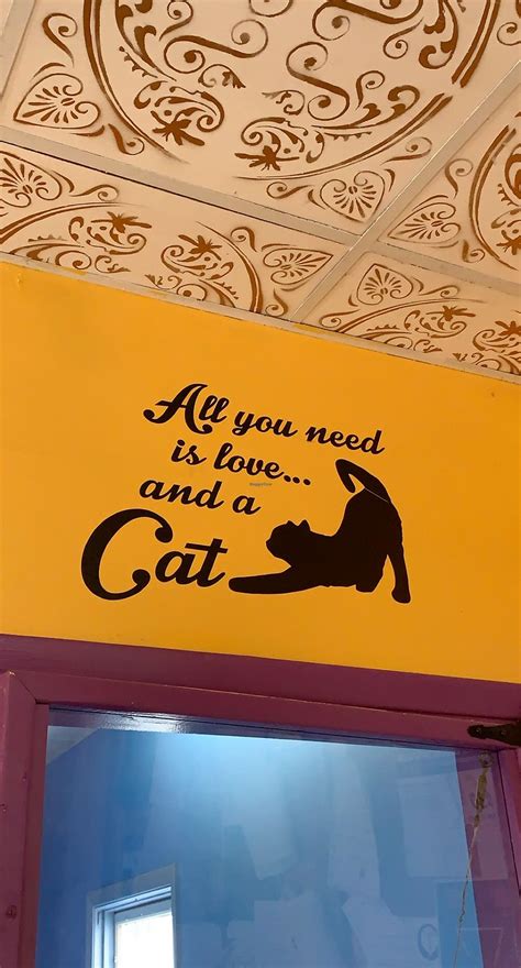 Alley Cat Cafe Ithaca New York Restaurant Happycow