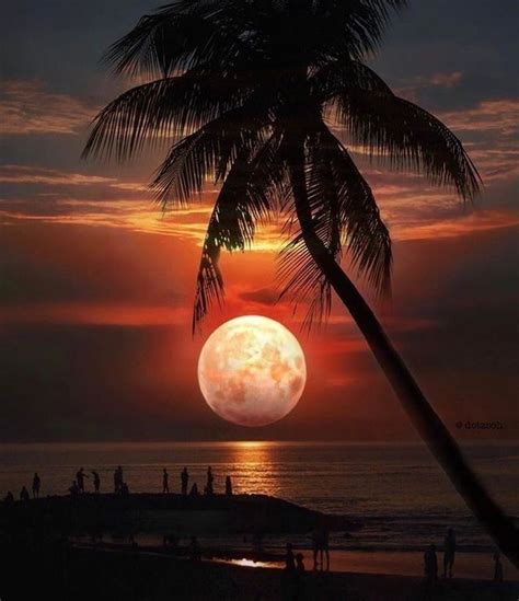 Pin By Elisandra Gdrebes On Imagens Beautiful Moon Moon Photography