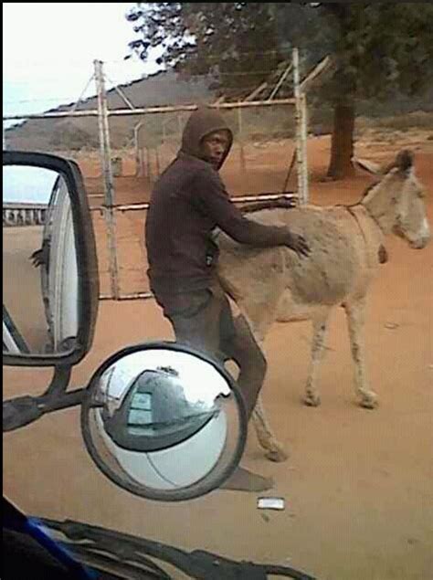 Neusroom A Man Was Caught Having Sex With A Donkey