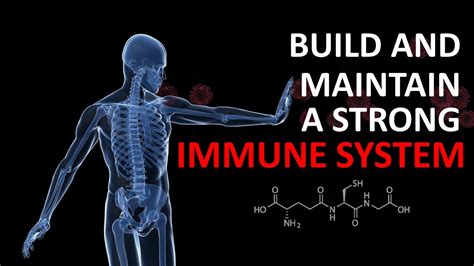 Build Maintain A Strong Immune System YouTube