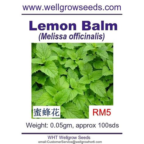 Buy Organic Lemon Balm Seeds Melissa Officinalis Grow Food Guide