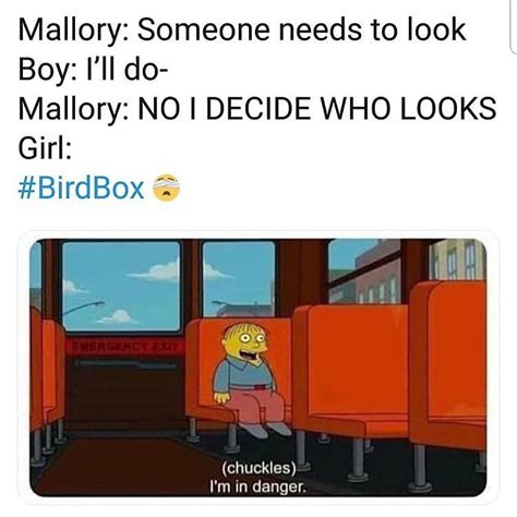 birdbox memes on instagram “best bird box meme no cap
