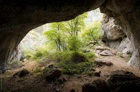 Cave Entrance With Light And Trees Del Colaborador De Stocksy Cosma