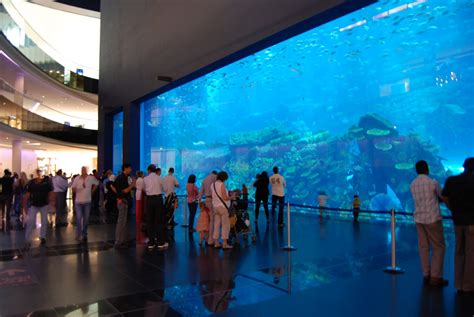 5 Largest Aquarium In The World Ubah Ubah