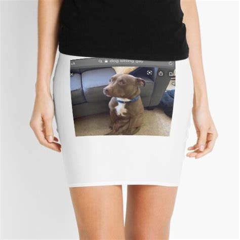 Dog Sitting Gay Mini Skirt For Sale By Elliecawthorne Redbubble