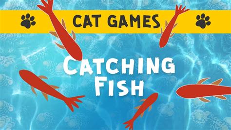 Cat Games 🐟 Catching Fish Cat Tv Youtube