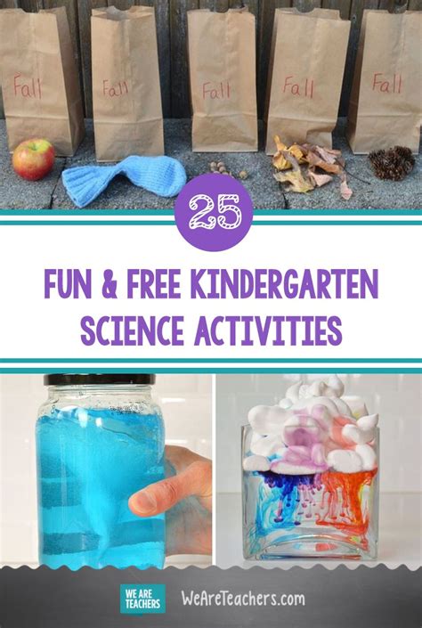 25 Free And Fun Kindergarten Science Activities Kindergarten Science