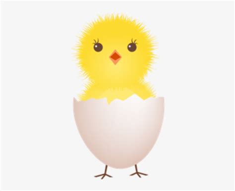 Chicken Egg Clipart 20 Free Cliparts Download Images On Clipground 2021