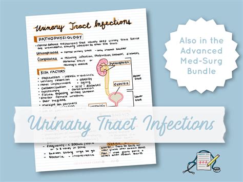 Urinary Tract Infections Nursing Study Guide Med Surg Cheat Sheet Nursing Notes
