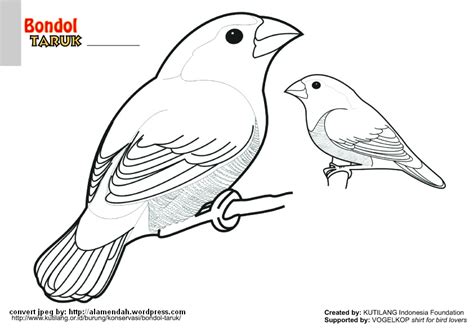 Kumpulan contoh sketsa gambar burung lovebird, berikut beberapa macam jenis burung lovebird lengkap dengan gambar yang cukup terkenal di in. Sketsa Mewarnai Gambar Burung | Mewarnai cerita terbaru lucu, sedih, humor, kocak, romantis
