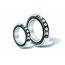 Hybrid Ceramic Bearing Extends Lifetime And Reduces Maintenance Cost Of 