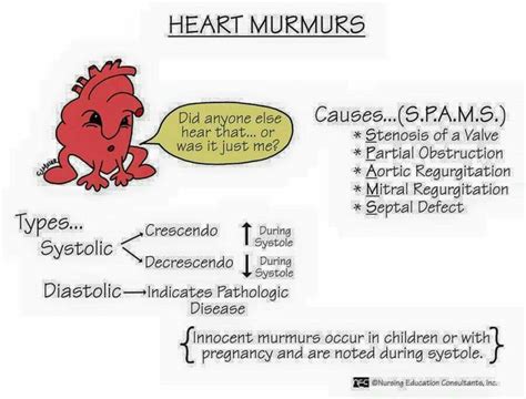 how to check heart murmur best design idea