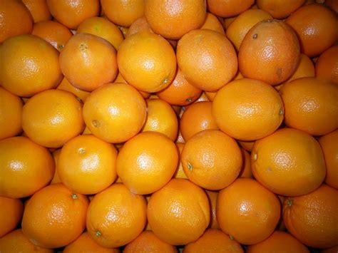 Many Oranges Free Stock Photo Public Domain Pictures