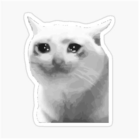 Crying Cat Meme Sticker For Sale By Xcxeon Redbubble