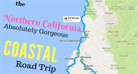 Take This Northern California Coastal Road Trip For An Absolutely