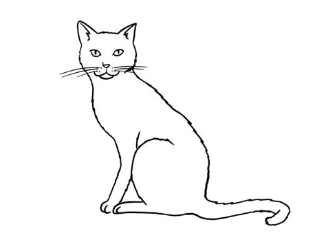 Lerne Katzen Zu Zeichnen Mehrere Tutorials And Videos Zum Mitzeichnen