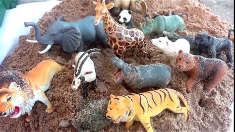 Zoo Animal Toy Surprise Hidden In Sanddump Truck Safari Ltd Schleich