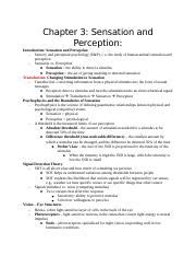 PSY Notes Docx Chapter Sensation And Perception Introduction Sensation And