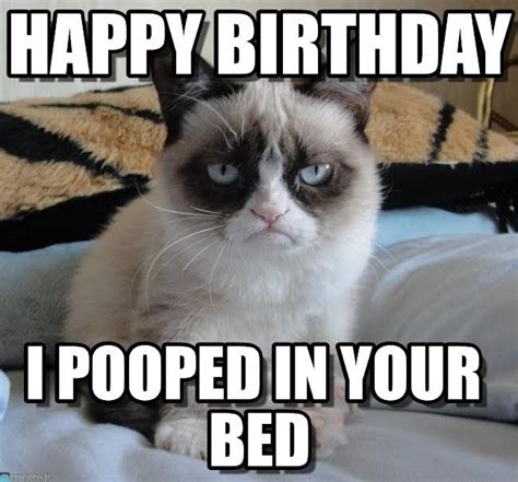 See The Wonderful Unhappy Birthday Funny Memes Grumpy Cat Hilarious