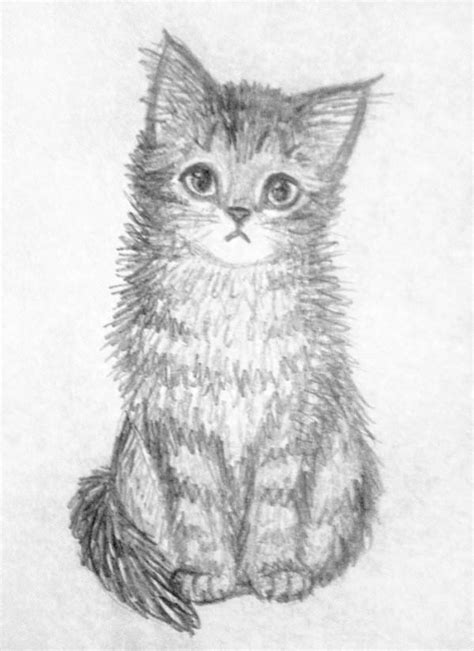 19 Cat Drawings Art Ideas Sketches Design Trends