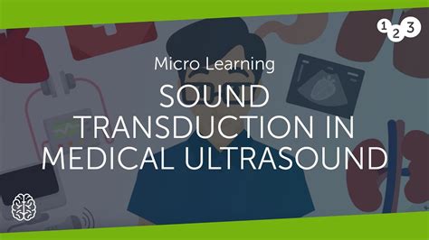 Sound Transduction In Medical Ultrasound Youtube