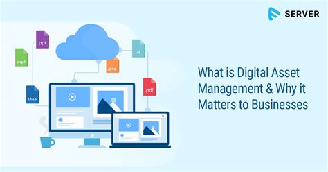 What Is A Digital Asset Management System For Enterprises