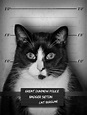 cat burglar | Photography by Mark Seton