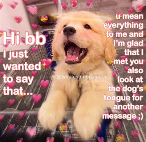 Wholesome Content Wholesomepagesx Cute Love Memes Flirty Memes