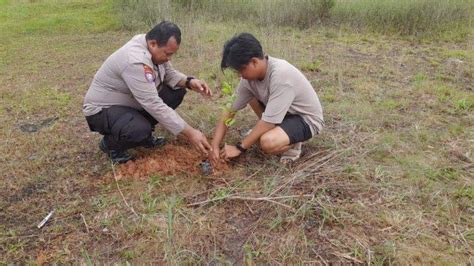 Satgas Ops Bina Karuna Ii Kapuas Polres Melawi Dan Komunitas