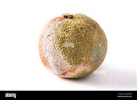 Rotten Orange Fruit Isolated On White Background Stock Photo Alamy