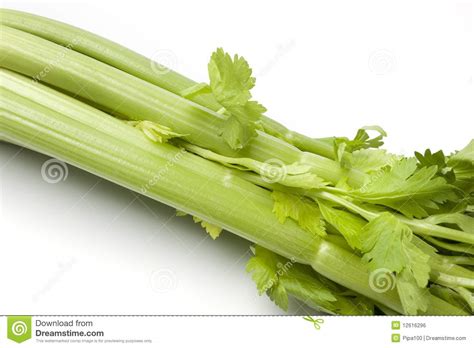 Celery Stems And Leaves Stock Photo Image Of Studio 12616296