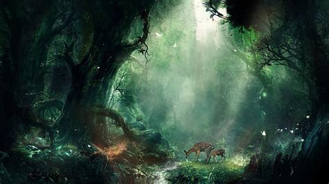 2048x1152 Bambi Jungle 2048x1152 Resolution Hd 4k Wallpapers Images